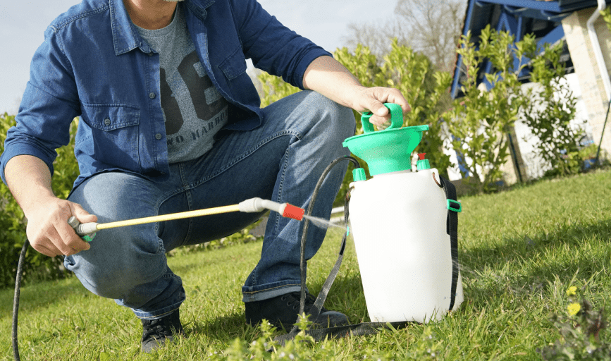 LAWN DEODORIZING